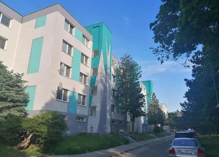 Cozy, Bright With Free Parking Gazde/Camere de închiriat *