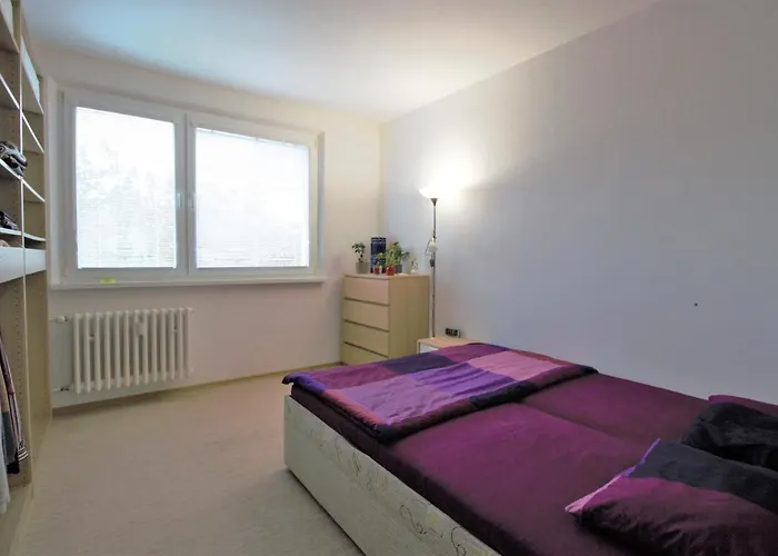Privatunterkunft Cozy, Bright With Free Parking Pressburg